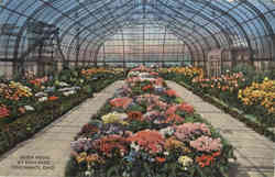 Stock #15407 Thumbnail