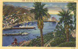 View from Skyline Drive, Avalon Bay Postcard
