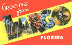 Greetings from Largo Large Letter Florida Postcard Postcard