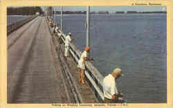 Stock #15597 Thumbnail