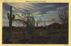 Shadows of Evening on the Desert Shadows of Evening on the Desert
