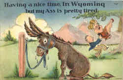 Having a nice time, In Wyoming but my Ass is pretty tired Postcard