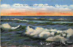 What are the Wild Waves Saying? Postcard