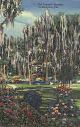 The Oriental Gardens Postcard