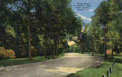 River Drive In Trinity Park Postcard