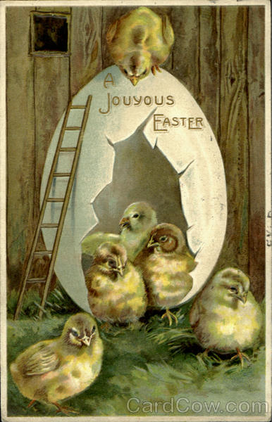A Joyous Easter With Chicks