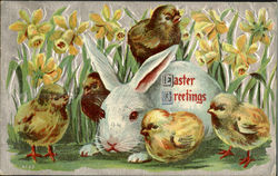 Easter Greetings Postcard
