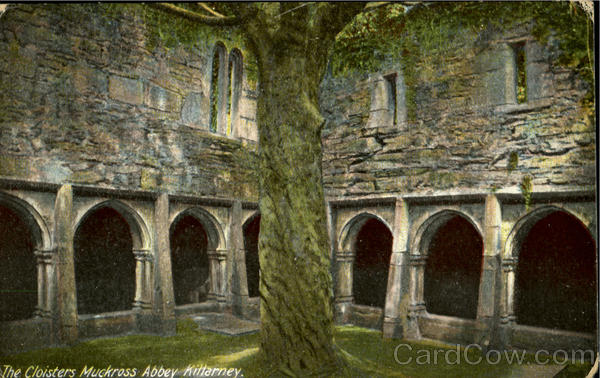 The Cloisters Muckross Abbey Killarney England Ireland