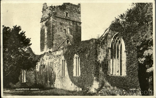 Muckross Abbey England