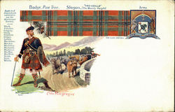 Badge Pine Tree Scotland Postcard 