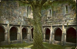 The Cloisters Muckross Abbey Postcard