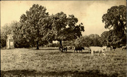 Stock #92279 Thumbnail