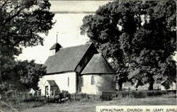 Upwaltham Church In Leafy June Postcard