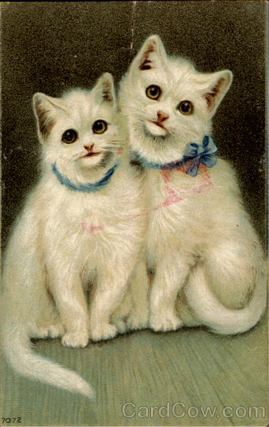 Persian Cats?