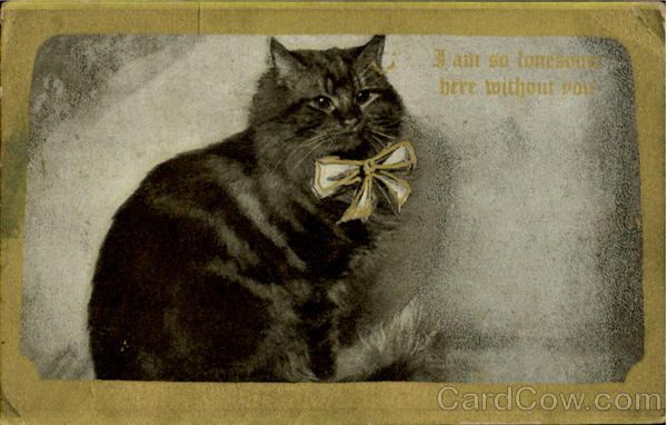 I Am So Lonesome Here Without Poie Cats