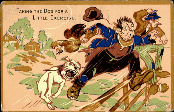 Taking The Dog For A Little Exercise Dogs