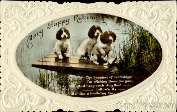 Many Happy Returns Dogs