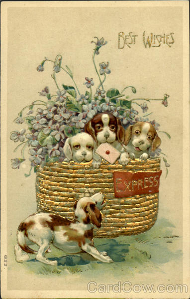 Vintage Puppy Postcards