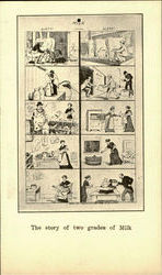 The Story Of Two Grades Of Milk Postcard