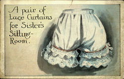 A Pair Of Lace Curtain Postcard