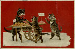 Cats Postcard Postcard