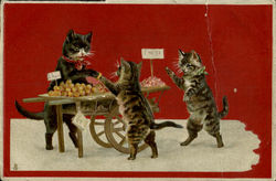 Cats Postcard