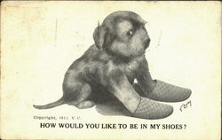 How Would You Like To Be In My Shoes? Postcard