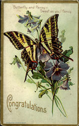Butterfly Postcard