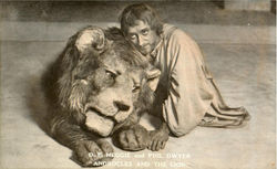 Androcles And The Lion Postcard