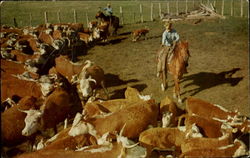 Cutting 'Em Out Postcard