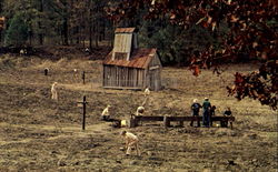 Crater Of Diamonds State Park Postcard