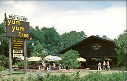 Yum Yum Tree, Route 6 Postcard