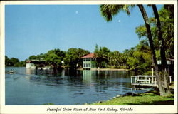 Peaceful Cotee River At New Port Richey Florida Postcard Postcard