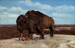 World's Largest Buffalo Postcard