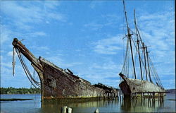 Former Monarchs Of The Sea Postcard