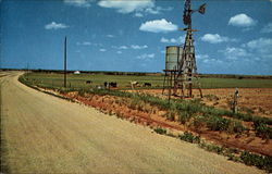 Texas Windmill Postcard