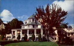The Homestead And Cottages Postcard