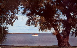Beautiful Lake Seneca Geneva, NY Postcard Postcard