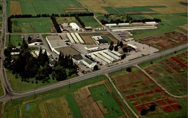 Harris Seeds Rochester New York