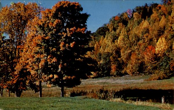 Vineyard Lodge Ulster Park New York