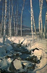 Greetings From Stratford Postcard