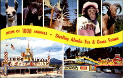 Home Of 1000 Animals Postcard