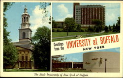 Greetings From The University At Buffalo New York Postcard Postcard