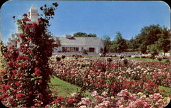 Stock #94195 Thumbnail