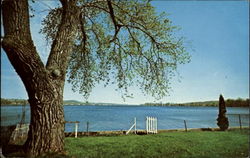 Hemlock Lake Postcard