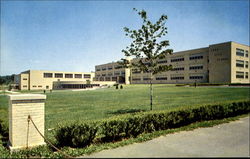 New Troy High School Postcard