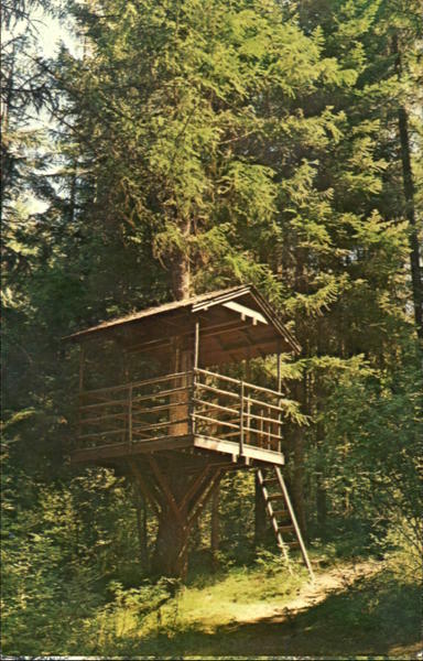 Trees Unit Coeur D'Alene Idaho