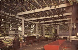 Die Weinstube Winery Postcard