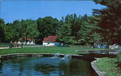 Backbone, Iowa's First State Park 1600 Acres Postcard