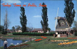 Tulip Time Postcard